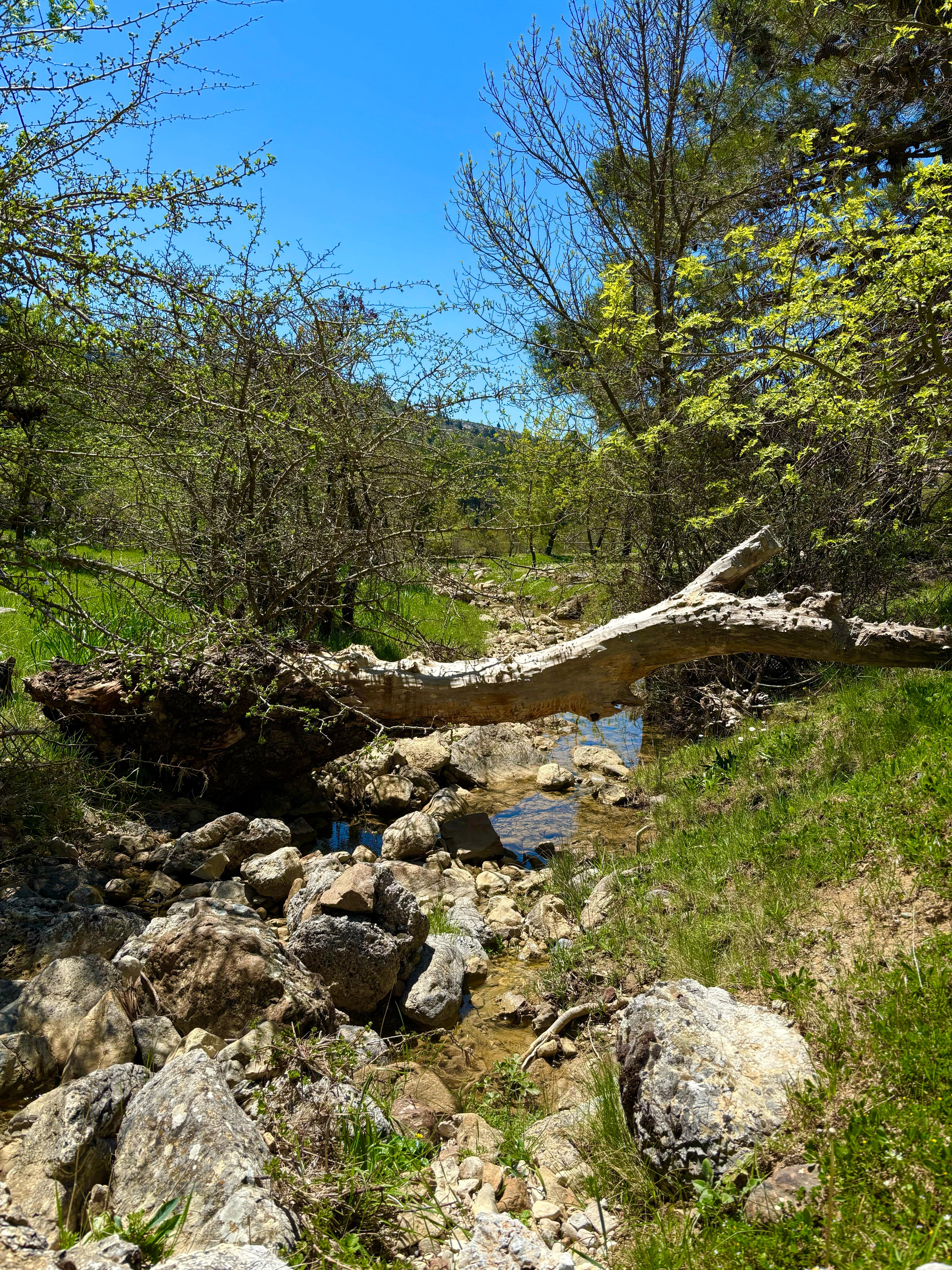 el arroyo de Sierra de las Nieves, Málaga, Andalucía