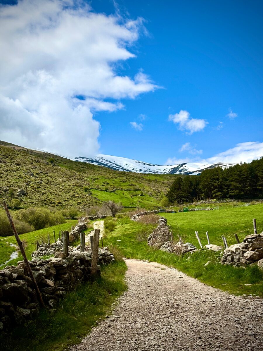 ścieżka w Sierra de Gredos, wędrowiska, ROZMÓWiska, język hiszpański, hiszpański online, kultura hiszpańska