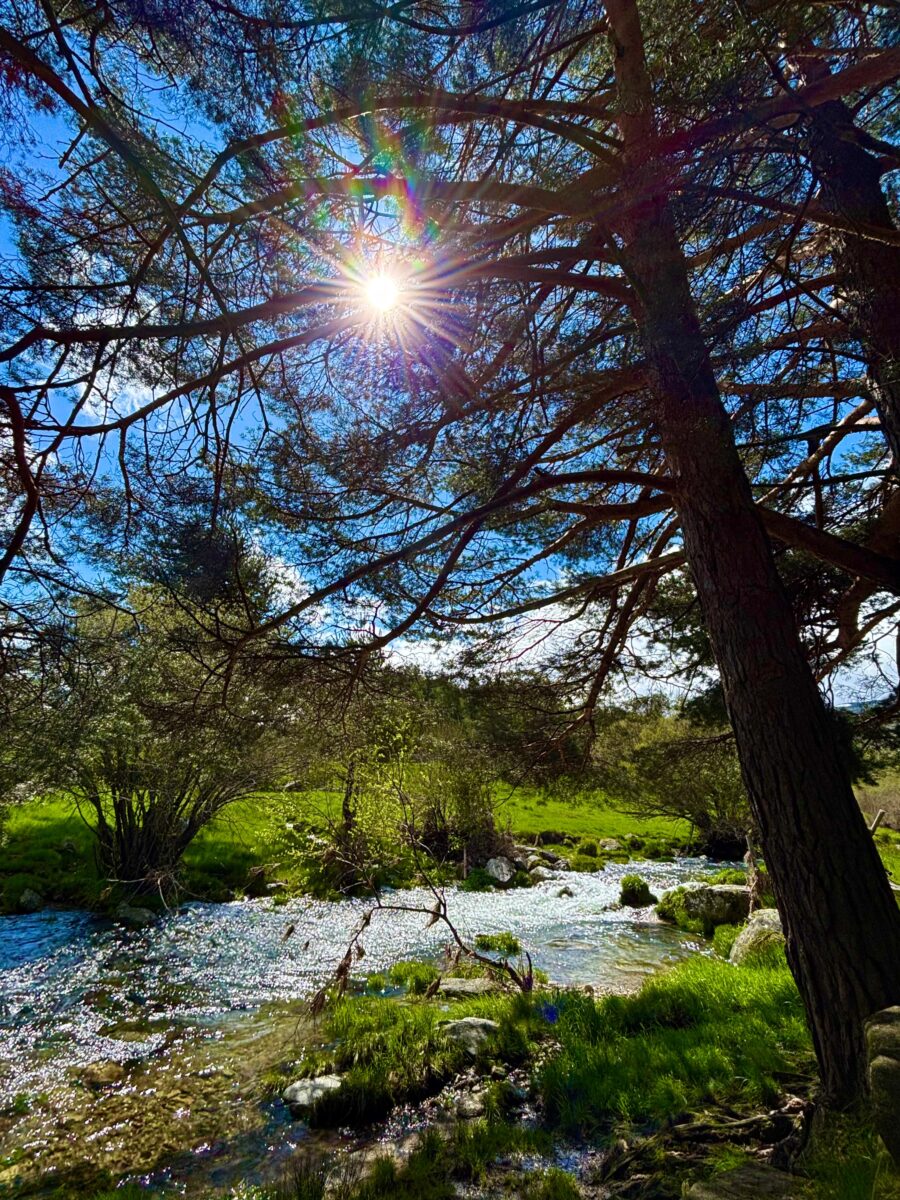 Sierra de Gredos, wędrowiska, ROZMÓWiska, język hiszpański, hiszpański online, kultura hiszpańska
