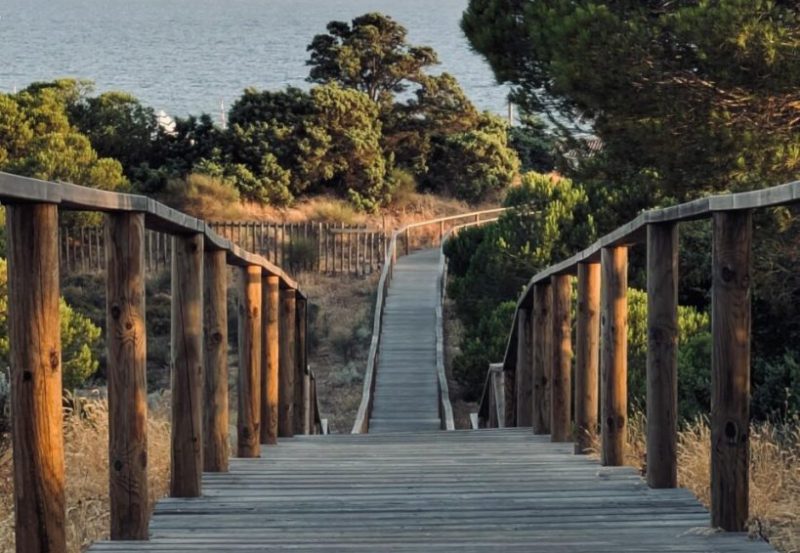 Matalascañas – plaża dla tych, co kochają sobremesa?